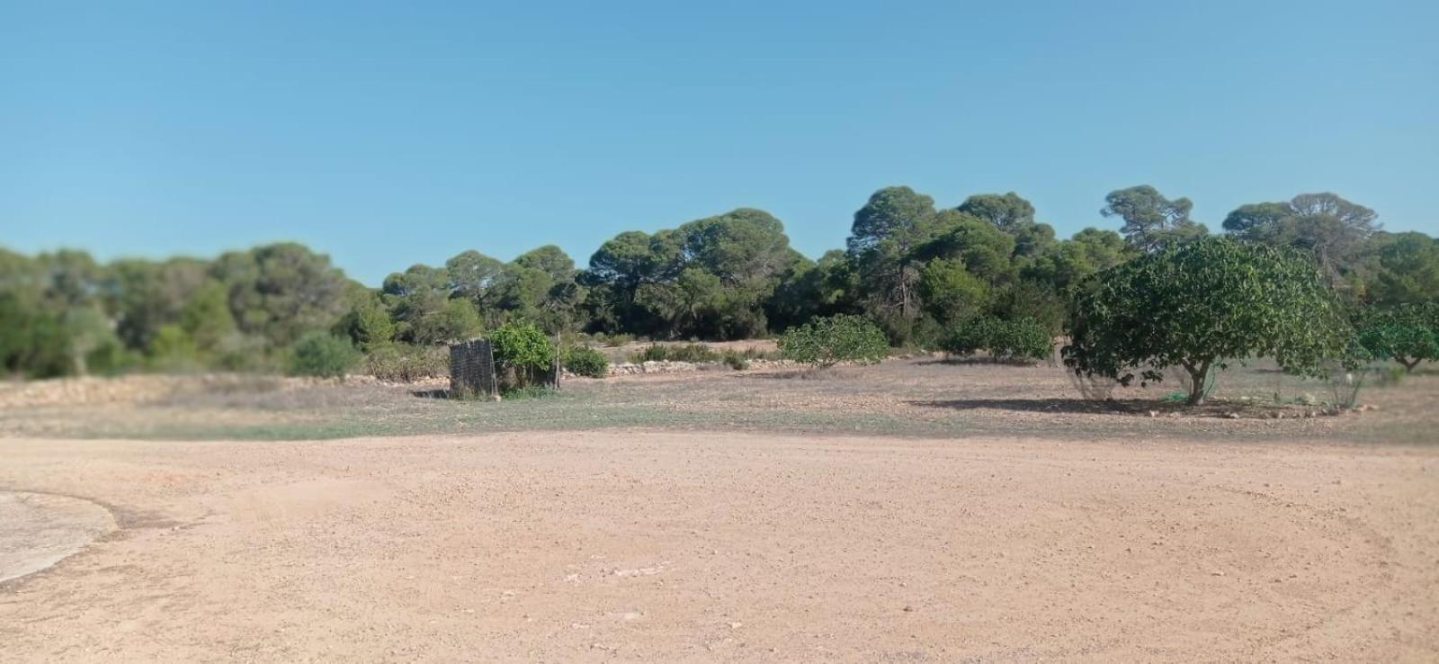 Estudio Cala Saona Exterior photo